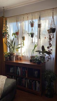 a living room filled with lots of plants and hanging planters on the windowsill