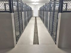 a long row of jail cells with bars on the doors