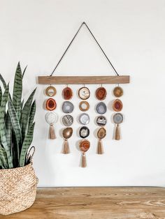 a wall hanging with shells and tassels on it next to a potted plant