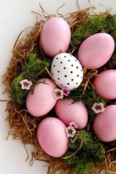 some pink eggs and moss in a nest