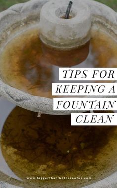 a fountain filled with water and the words tips for keeping a fountain clean on top