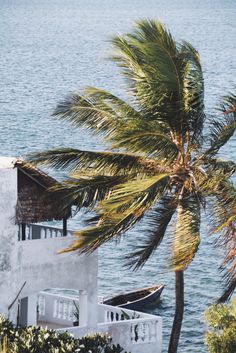 a palm tree leaning against the side of a white building with a boat in the water