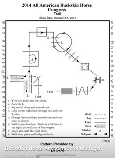 an image of a horse's wiring diagram for the american buckskin horse, with instructions