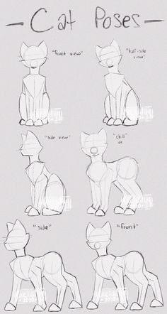 how to draw a cartoon cat with different poses and body shapes, step by step