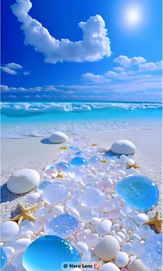 an image of the beach with shells and starfish on it's sand, under a cloudy blue sky