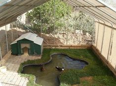 a small pond in the middle of a backyard with a dog house on it's side