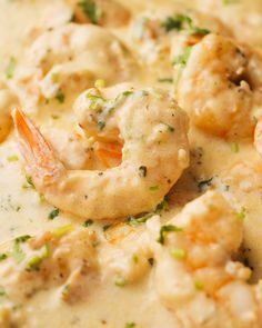 closeup of shrimp and grits in sauce with parsley