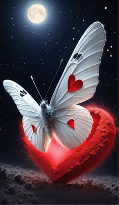 a white butterfly sitting on top of a red heart shaped object in front of a full moon