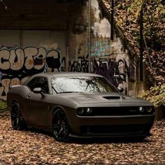 a gray car parked in front of a graffiti covered wall with trees and leaves on the ground