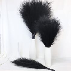 two vases with black feathers in them