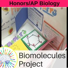 an image of a brochure with the words biomoleques project on it