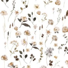 an assortment of flowers on a white background