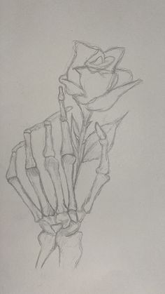 a pencil drawing of a single rose