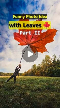 a person holding an umbrella with the words funny photo idea with leaves part ii