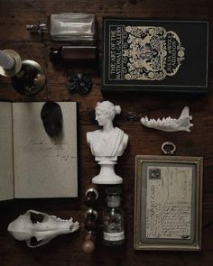 Dark Academia Room Ideas, Dark Academia Library, Dark Cottagecore Aesthetic, Gothic Academia, Kendall Jenner Face, Pax Romana, Art Academia, Dark Acadamia, Dark Academy