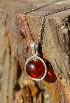 A stunning polished amber cabochon is set in a silver-plated basket and paired with a choker-sized 14 inch chain. This little round amber beauty has deep orange amber coloration that looks beautiful in sunshine. Amber is petrified tree sap that could be millions of year old. The inclusions are bits of flora or fauna from pre-historic times that became trapped and preserved in the sap. That's a cool pre-historic choker to wear! *  Chain length: 14 inches with a screw clasp *  Amber cabochon dimensions:  0.5 inch (12 mm) diameter The proceeds from this piece support our wildlife rescue and rehabilitation program. The animals thank you for your support! Elegant Luxury Amber Crystal Necklaces, Luxury Elegant Amber Crystal Necklaces, Tree Sap, Deep Orange, Amber Necklace, Wedding Jewellery Necklace, Necklace Choker, Wedding Necklace, Wedding Shop