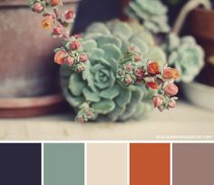 a potted plant sitting on top of a table next to a color swatch