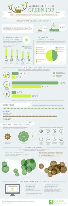 the world's most expensive cars infographical infographing for all kinds of vehicles