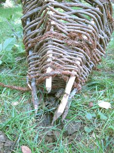 an animal made out of branches and sticks in the grass with leaves on it's back