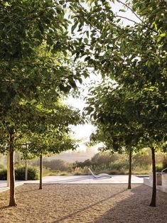 an empty park with benches and trees