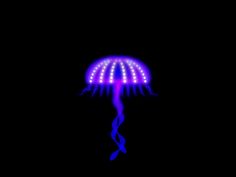 a purple jellyfish in the dark with blue and pink lights on it's head