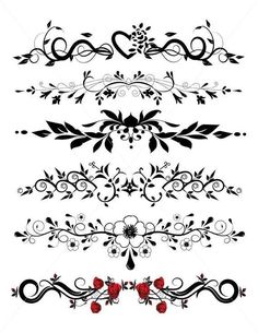 a set of decorative floral design elements