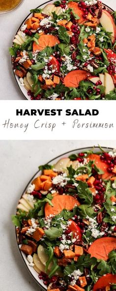 two plates filled with different types of salads on top of each other and the words harvest salad above them