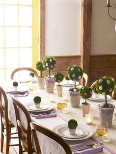 the table is set with small potted plants