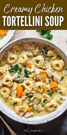 Creamy chicken tortellini soup is a comforting soup perfect for cold winter nights. Loads of vegetables, juicy shredded chicken, and cheese-stuffed tortellini in a creamy rich savory broth, made in 35 minutes. #chickentortellinisoup #tortellinisoup #soup #wintersoup #fallsoup