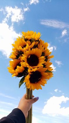 a hand is holding a large sunflower in front of a blue sky with white clouds