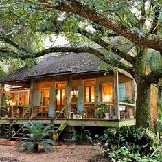 a small wooden cabin sitting under a tree