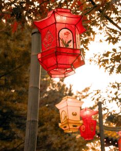 red lanterns hanging from a pole in front of trees