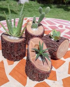 three pieces of wood with plants in them on top of a circular tableclothed area