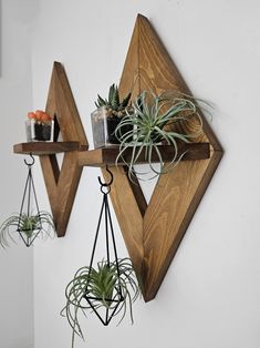 two wooden shelves with plants on them and hanging from the wall, one holding air plants