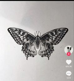 a black and white drawing of a butterfly