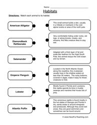 the worksheet is shown for students to learn how to write an informative text