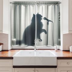 a kitchen sink sitting under a window next to a counter top with a cat silhouette on the curtain