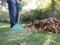 a person rakes leaves in the grass with text overlay that reads 50 ideas to help someone feel better