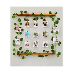 a wooden frame with photos and green leaves hanging from it's sides on a white wall