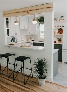 a kitchen with two stools next to a counter and a potted plant on the floor