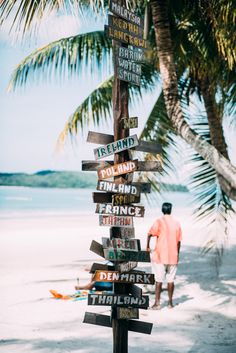 a man standing next to a palm tree on top of a sandy beach with lots of signs pointing in different directions