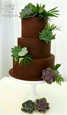 a three tiered chocolate cake with succulents on top