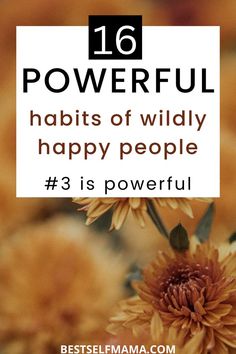 yellow flowers with the words,'16 powerful habitts of wildly happy people '