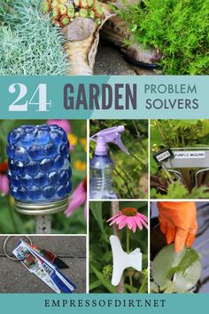 Photo collage of garden hacks including keeping plant tags on key rings for easy access. Gardening Therapy, Cockle Shells, School Gardens, Garden Landscaping Diy, Cottage Backyard, Flower Tips, Practical Garden, Garden Problems, Garden Walls