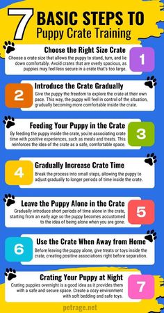 the 7 basic steps to puppy crate training info sheet with instructions on how to use it