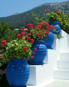 three blue vases with red flowers are on the white steps leading up to a mountain