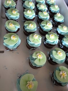 cupcakes with green and blue frosting are arranged on a tray, ready to be eaten