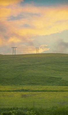 two power poles on top of a green hill