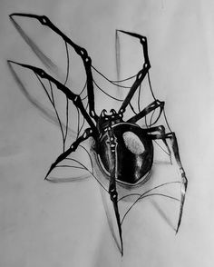 a drawing of a spider with its eyes open