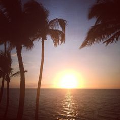 the sun is setting behind some palm trees